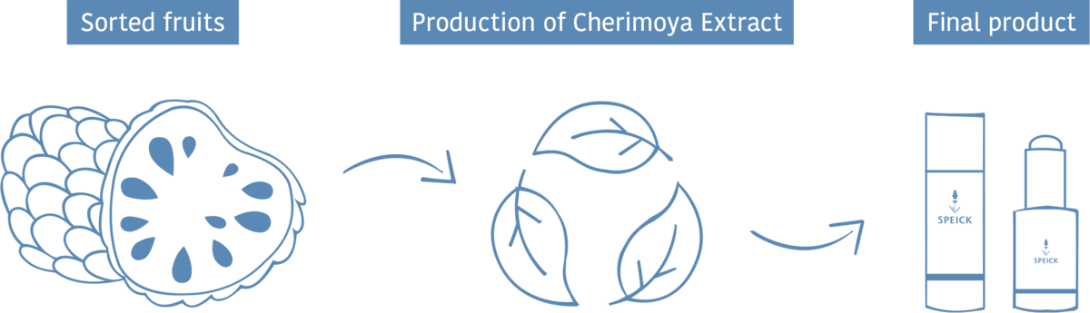 Production of cherimoya extract